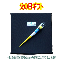 父の日プレゼントに最適シートクッション